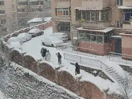 辽宁男篮签下新大外援